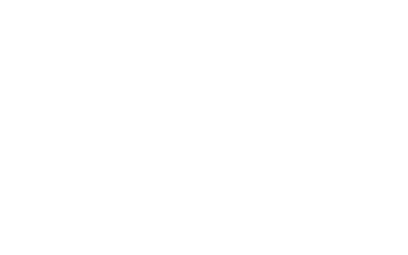 La Gaviota