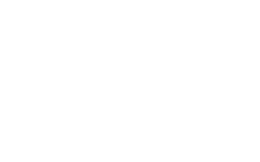 La Perfecta